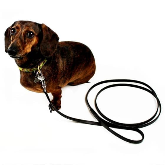 small leather dog leash - detrenda - 52691 962327ebe320e088cd9206c37059afa4