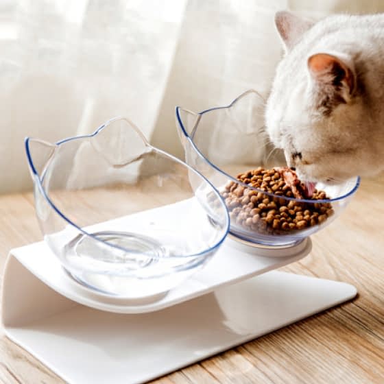 non-slip cat bowls with raised stand - detrenda - 56115 202fd6d83fe0d4a3624b8517e9abb24b