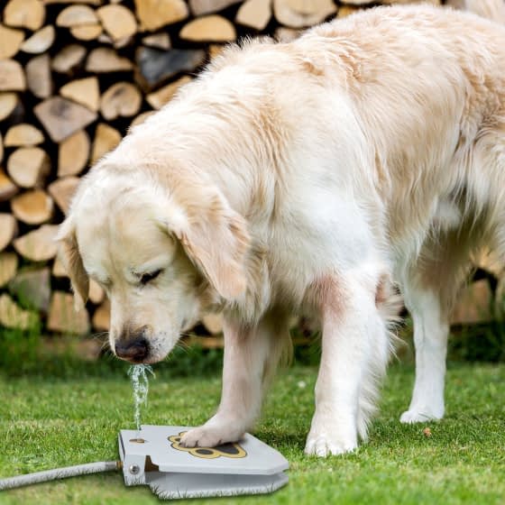 automatic outdoor dog water fountain - detrenda - 56332 17904633eef0b63fc84468193ff324ae