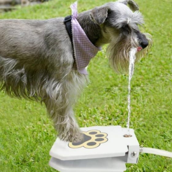 automatic outdoor dog water fountain - detrenda - 56332 e81083196e6670413c7803f8227df6e9
